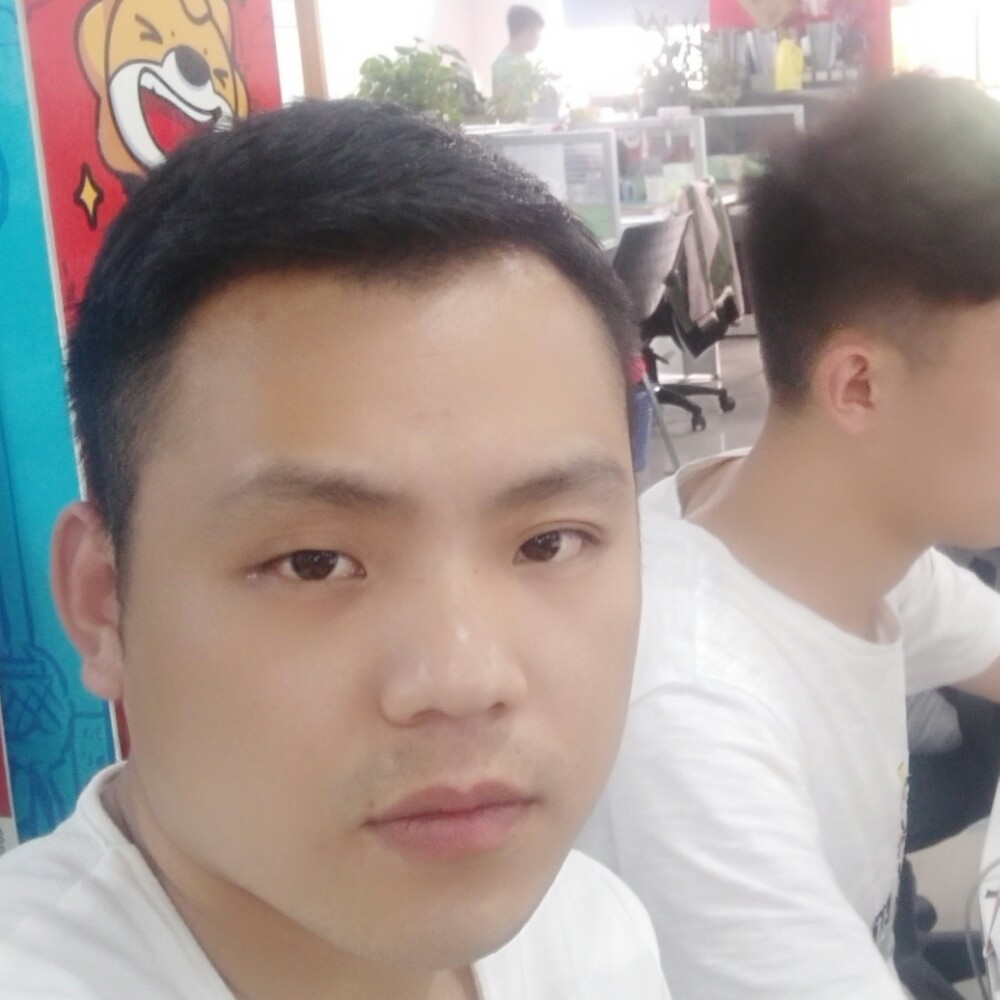 斑马超帅的照片