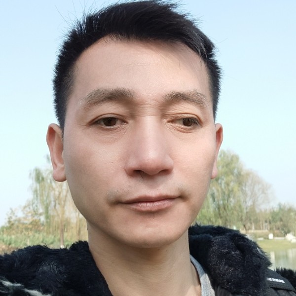 老鼠漫步害羞的照片