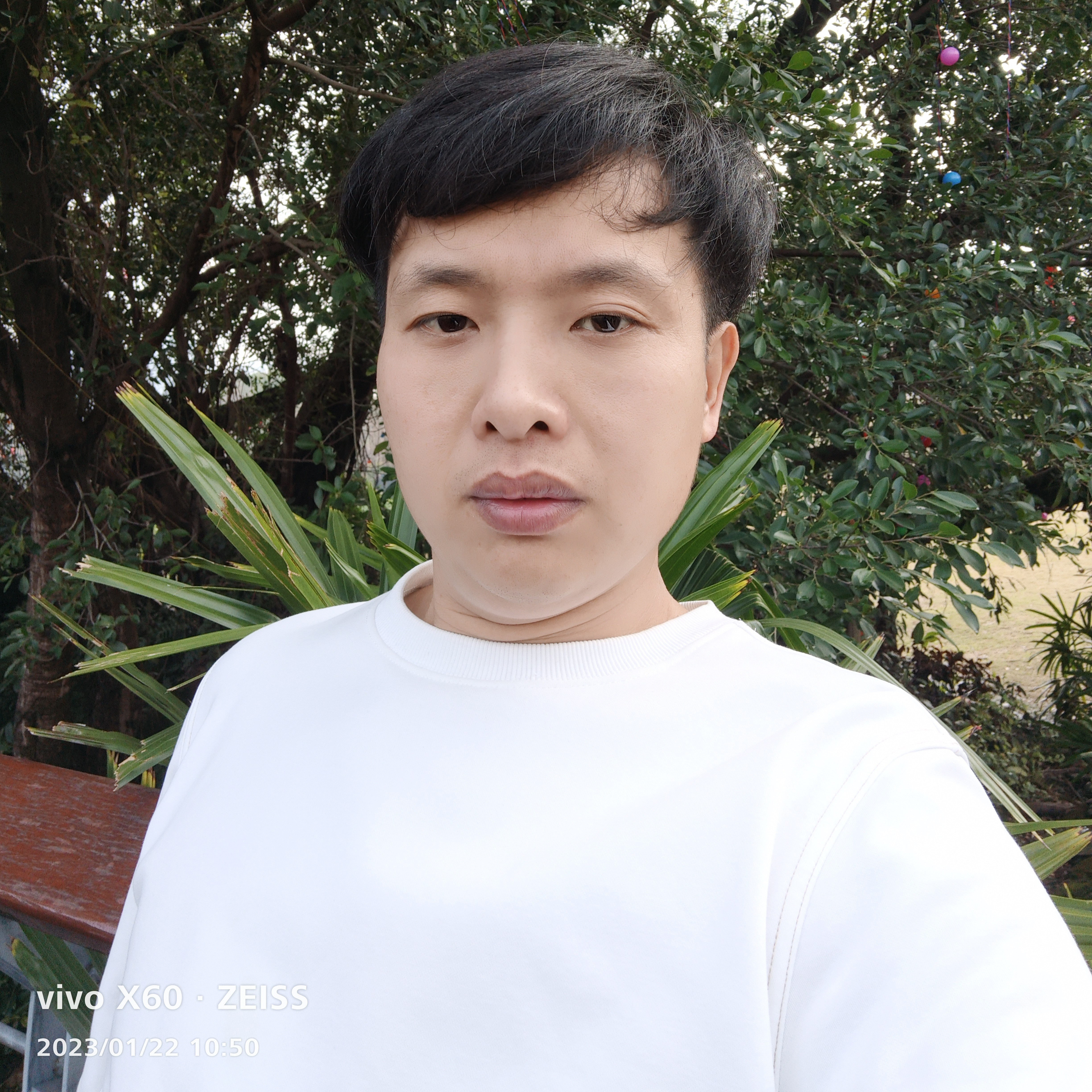 睡不着的鱼的照片