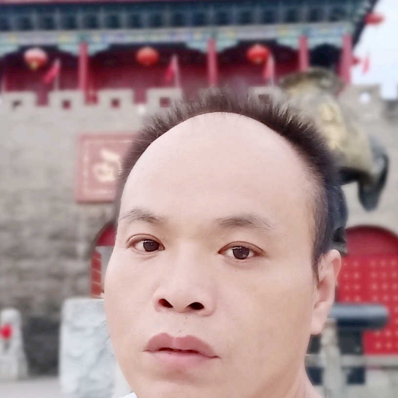 小猫咪兴奋的照片