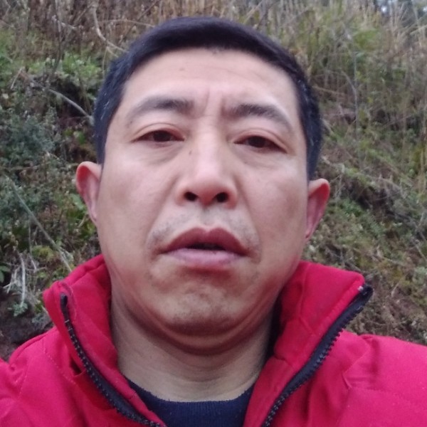 皮带苦恋坚强的照片