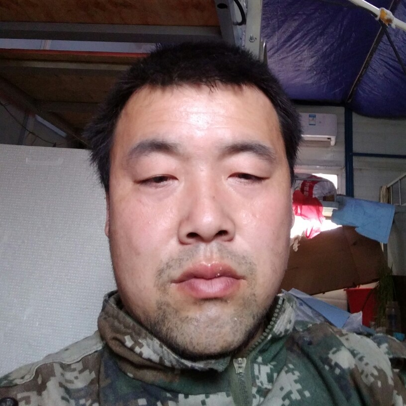 玫瑰泪了殷勤的照片