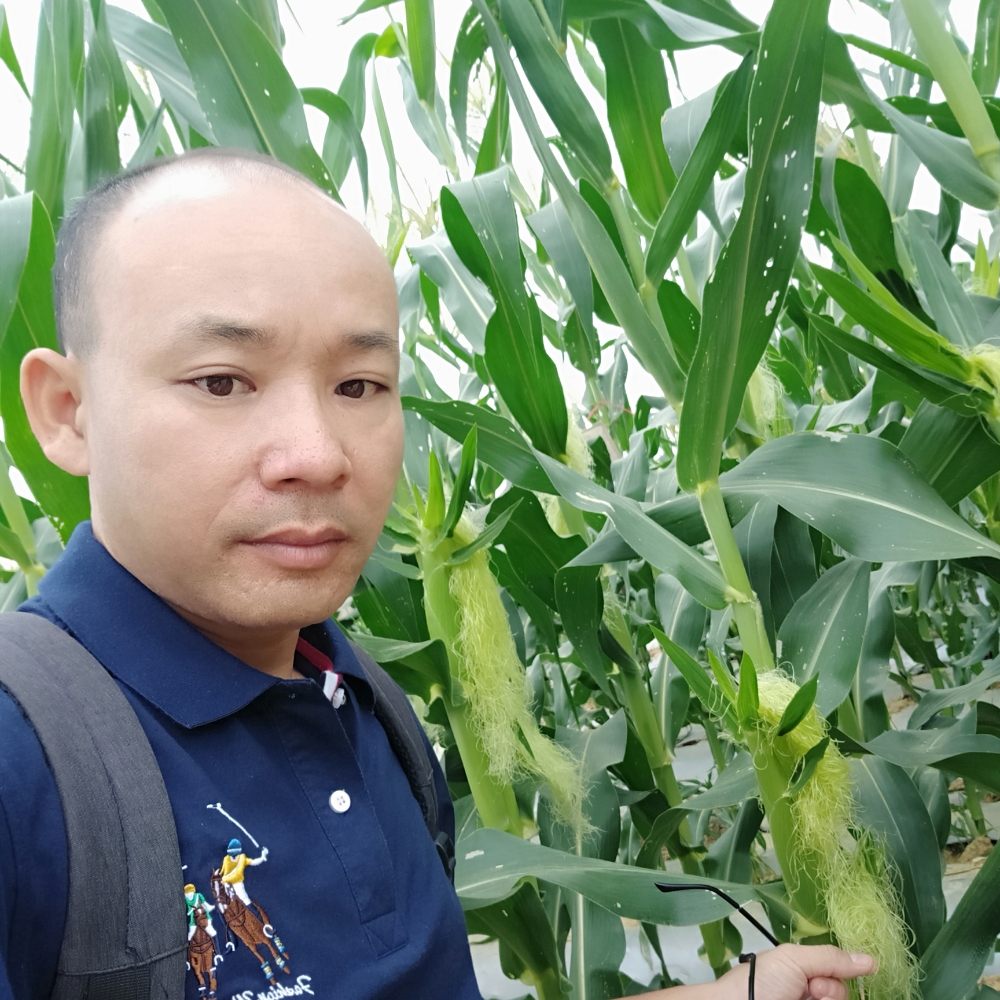 乐观的果汁的照片
