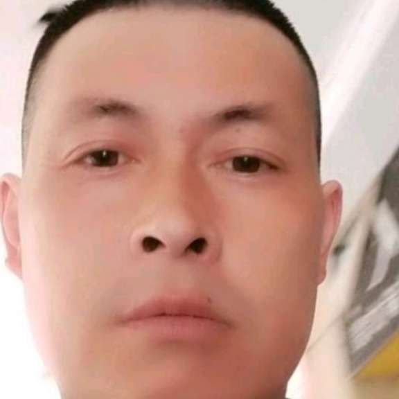 害羞有小松鼠的照片