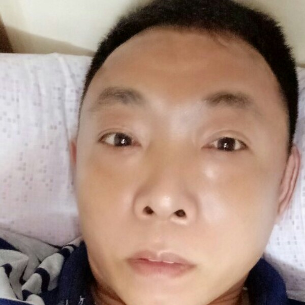启木的照片