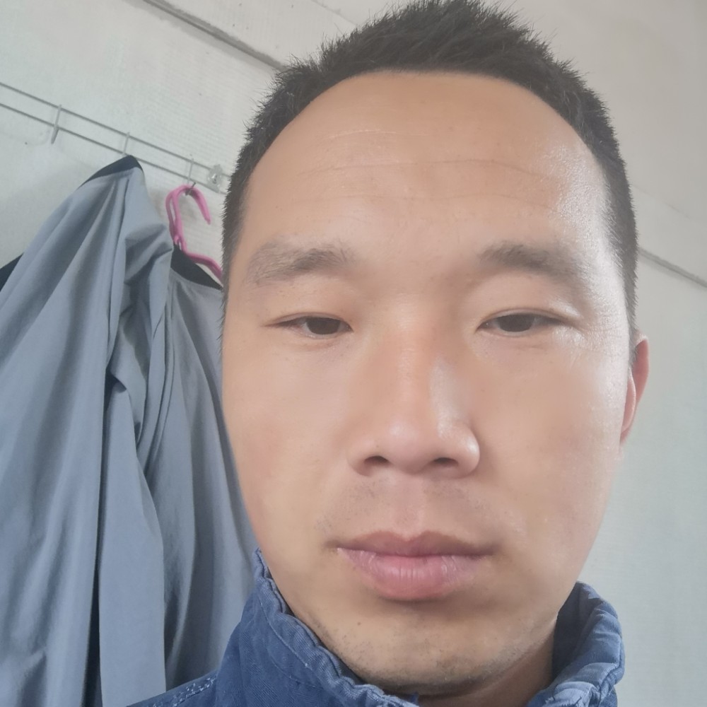 无头苍蝇的照片
