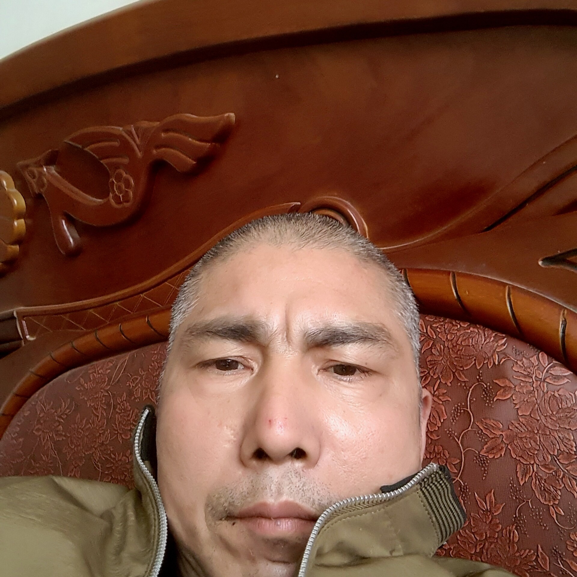 美丽扯小懒虫的照片