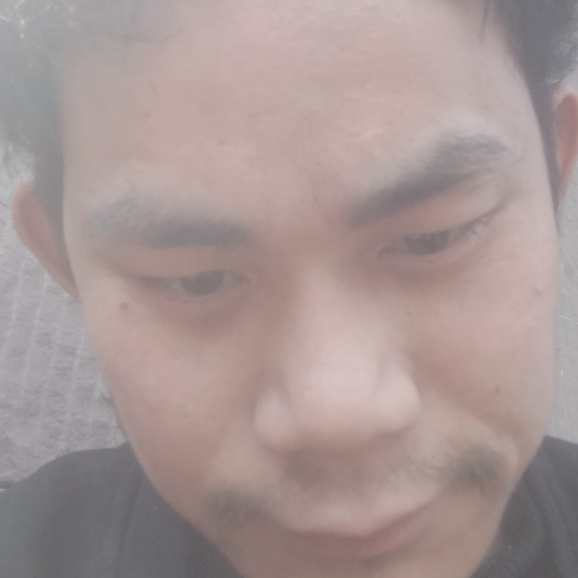 笑靥专注的照片