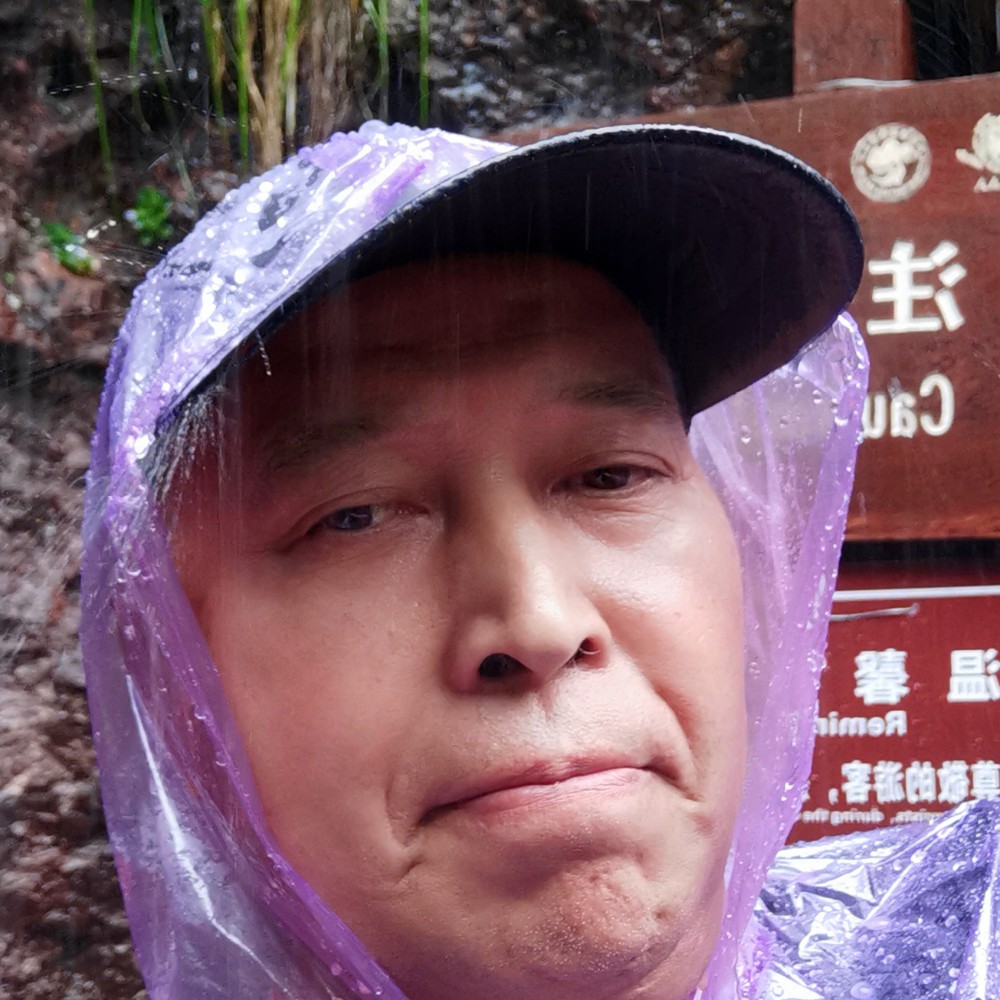 小蜜蜂改变时尚的照片