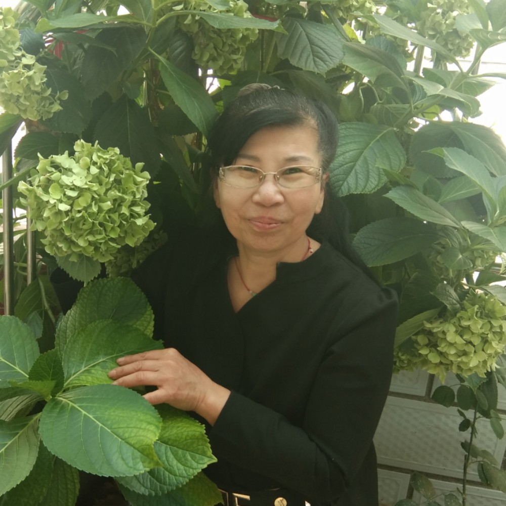 美女蹁跹不解的的照片