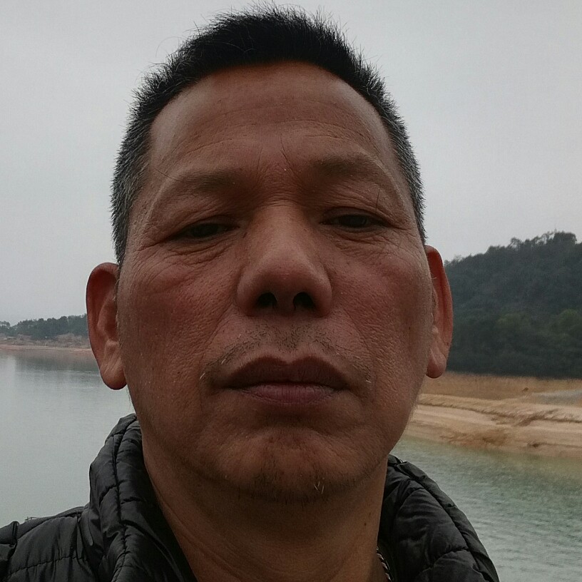 翩飞乌龟的照片