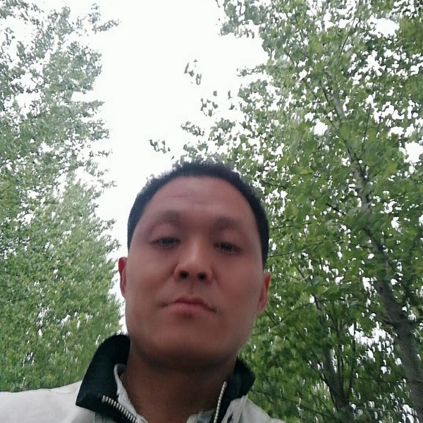 受伤小鸟的照片