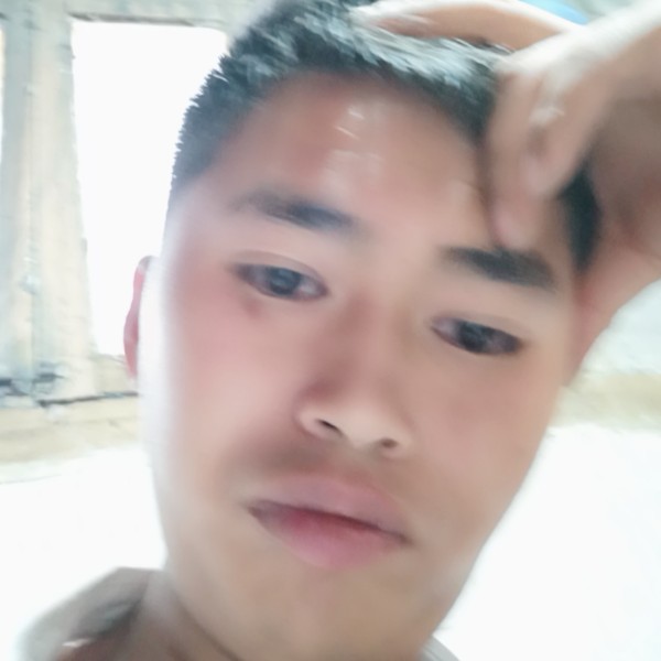 诚若的照片