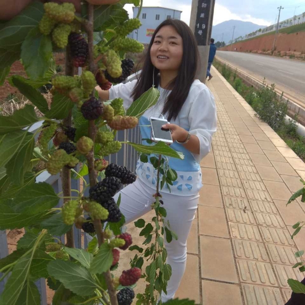 平湖漠然的照片