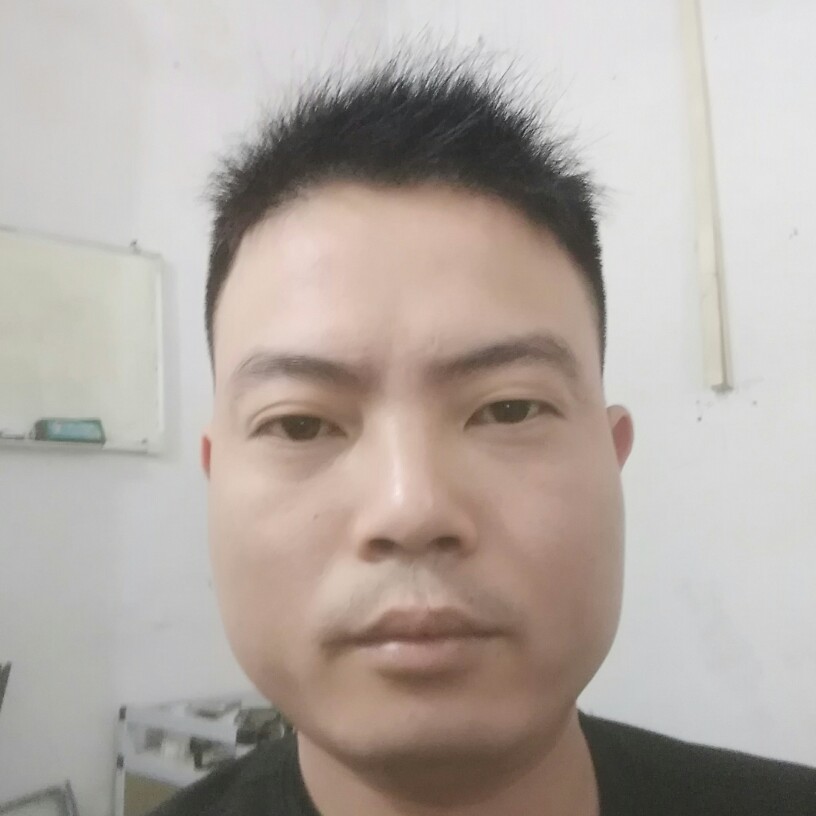 矮小小天鹅的照片