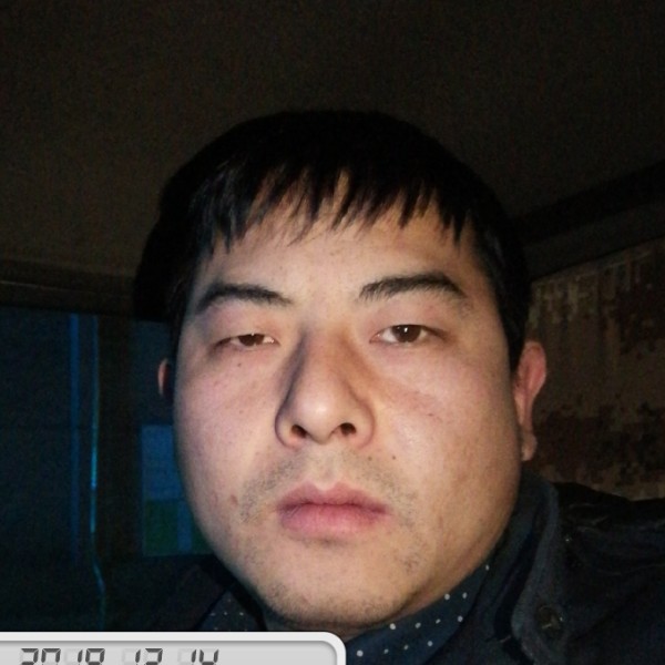 绿草朴素的照片
