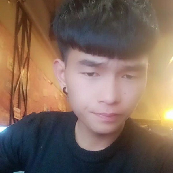纸鹤矮小的照片
