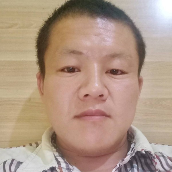 老虎淡定一的照片