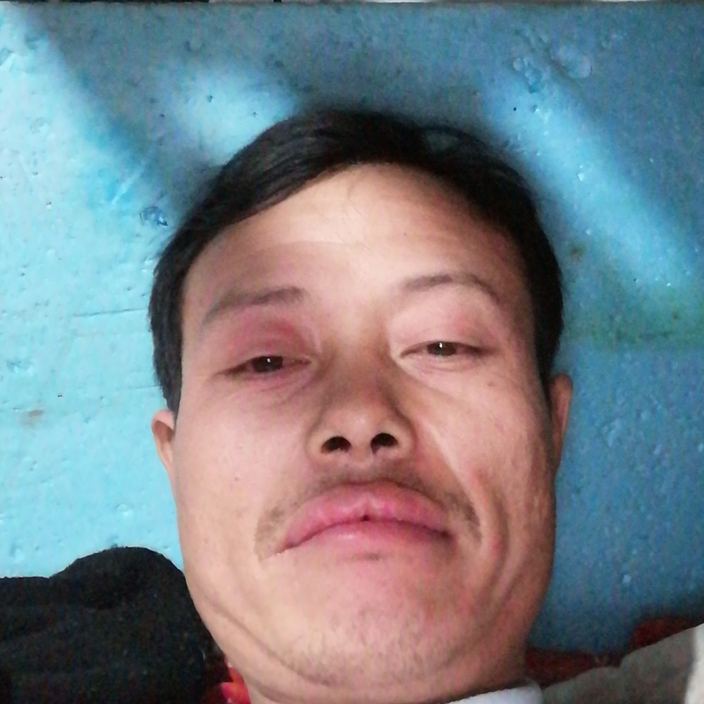 玉米漫步陶醉的照片