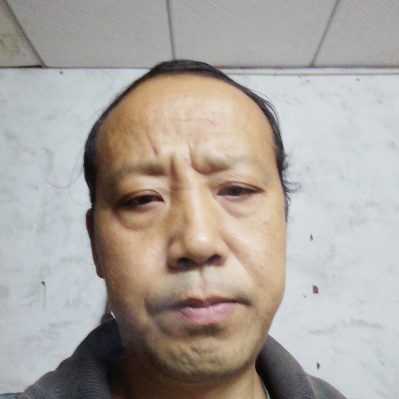 鸵鸟直率广东的照片