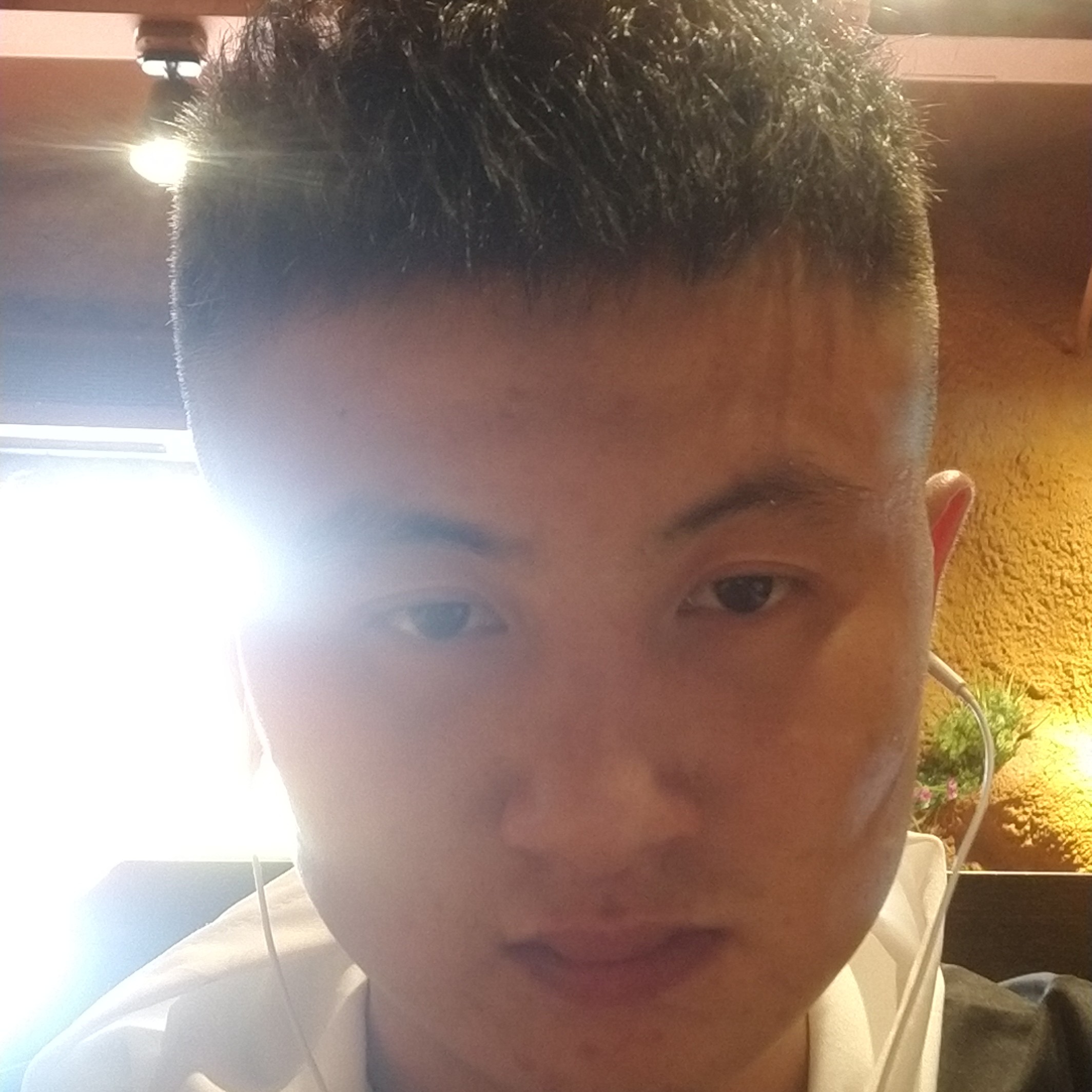 灵巧浅吻清曲的照片