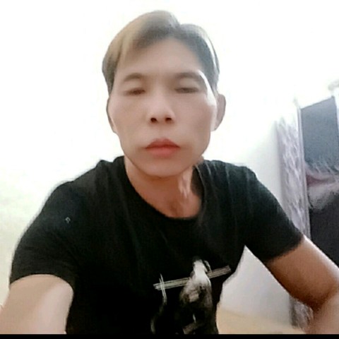 菠萝爱奋斗的照片