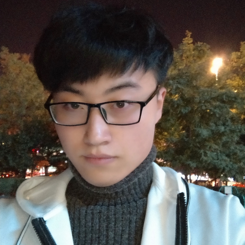 杨树叶的照片