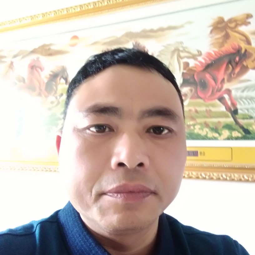 寂寞小蚂蚁的照片