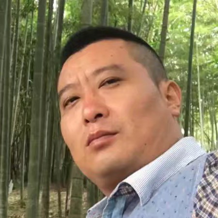 伶俐绿草的照片