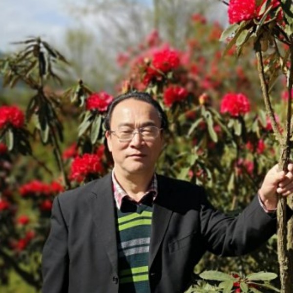 寻找天涯人的照片
