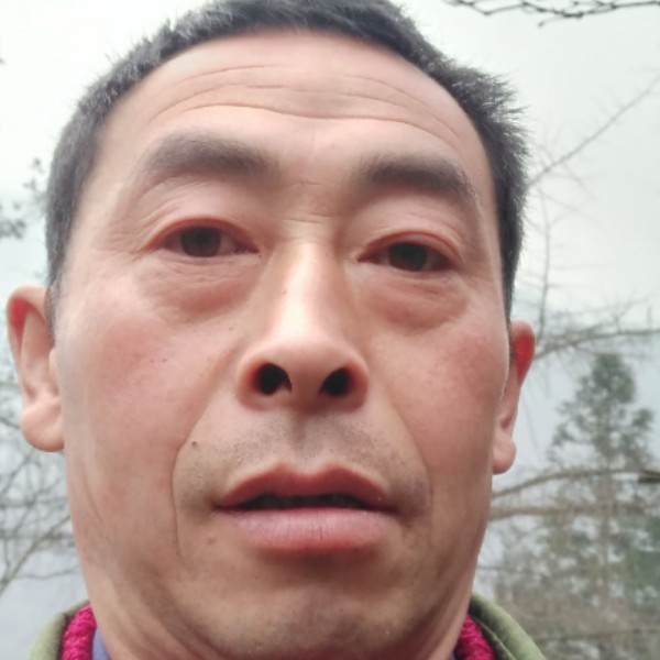 黑猫轻松的照片