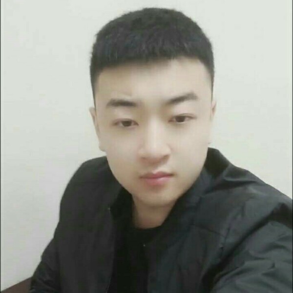 大雁与长情的照片