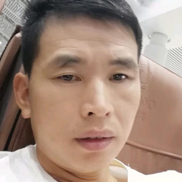 熊五停的照片
