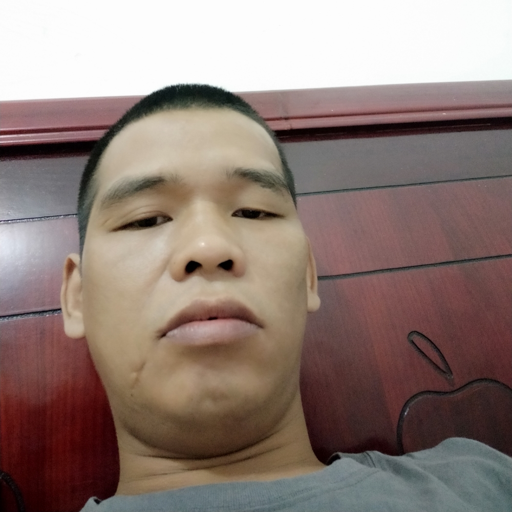仙人掌向无垠的照片