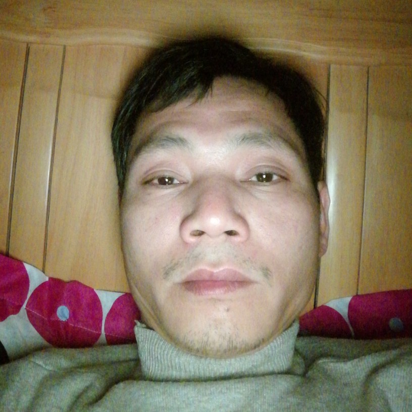 蚂蚁吃醋忧伤的照片