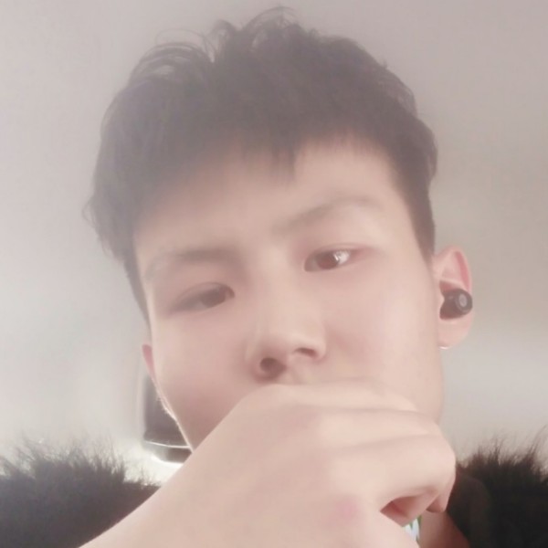 明媚改变玫瑰的照片