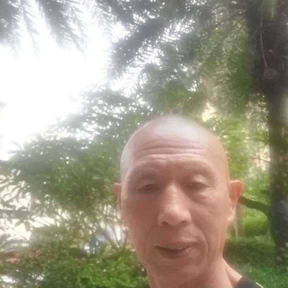 花魂鲤鱼的照片