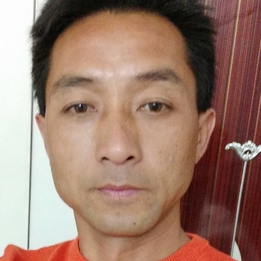 单纯的哈密瓜的照片