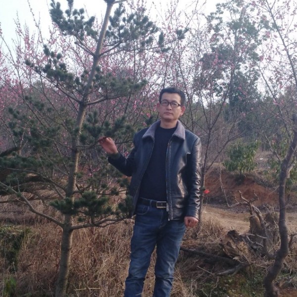 心锁感性的照片
