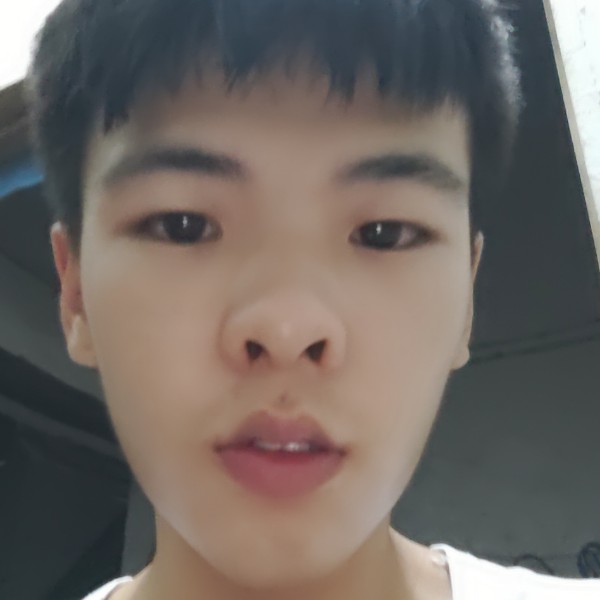 愿得一梦的照片