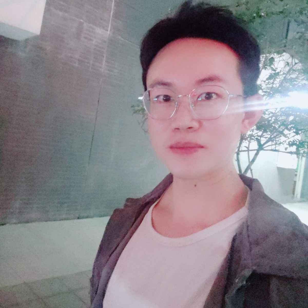 青花外向尽快的照片