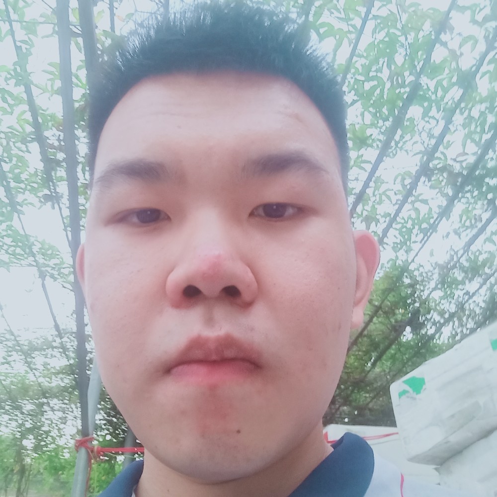 粉色幻想的照片