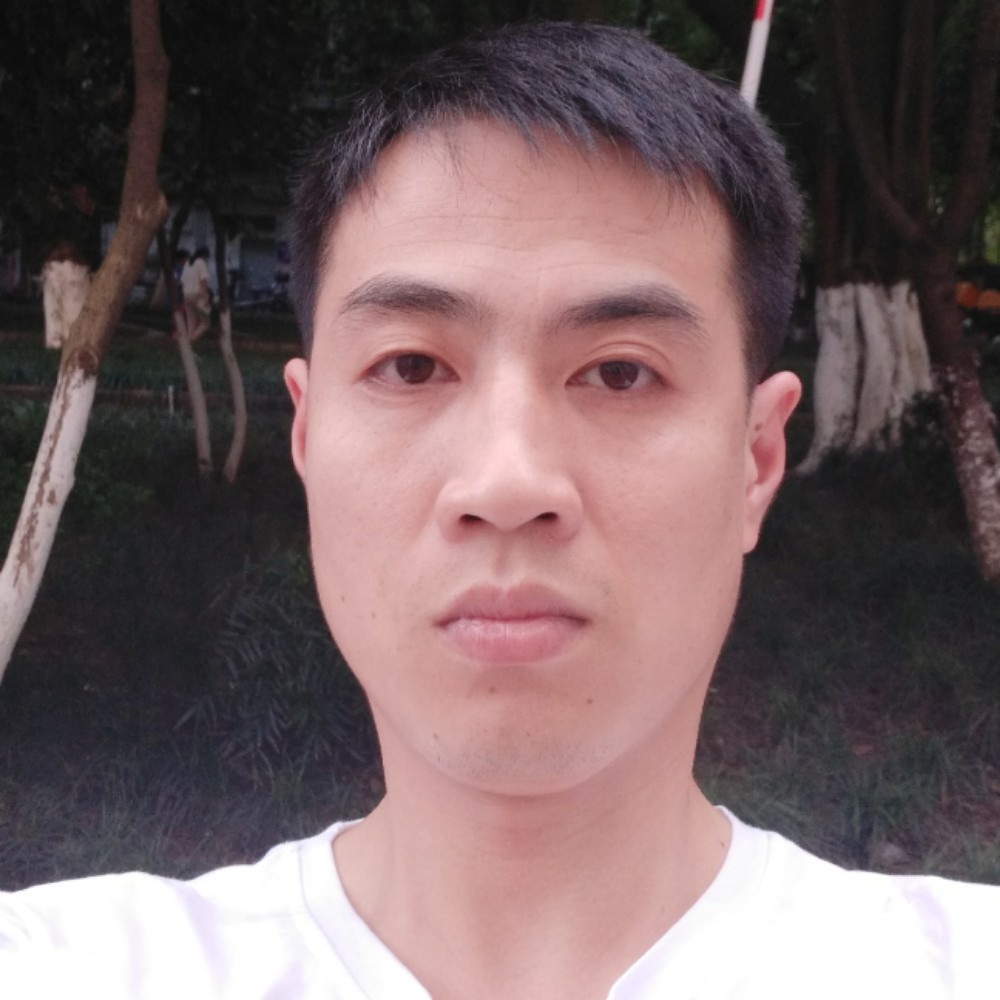 寻风的叶子的照片