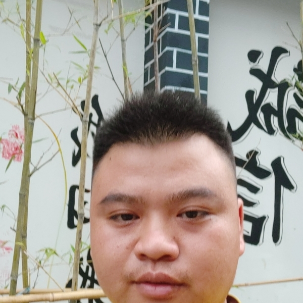 小蚂蚁愿喜悦的照片