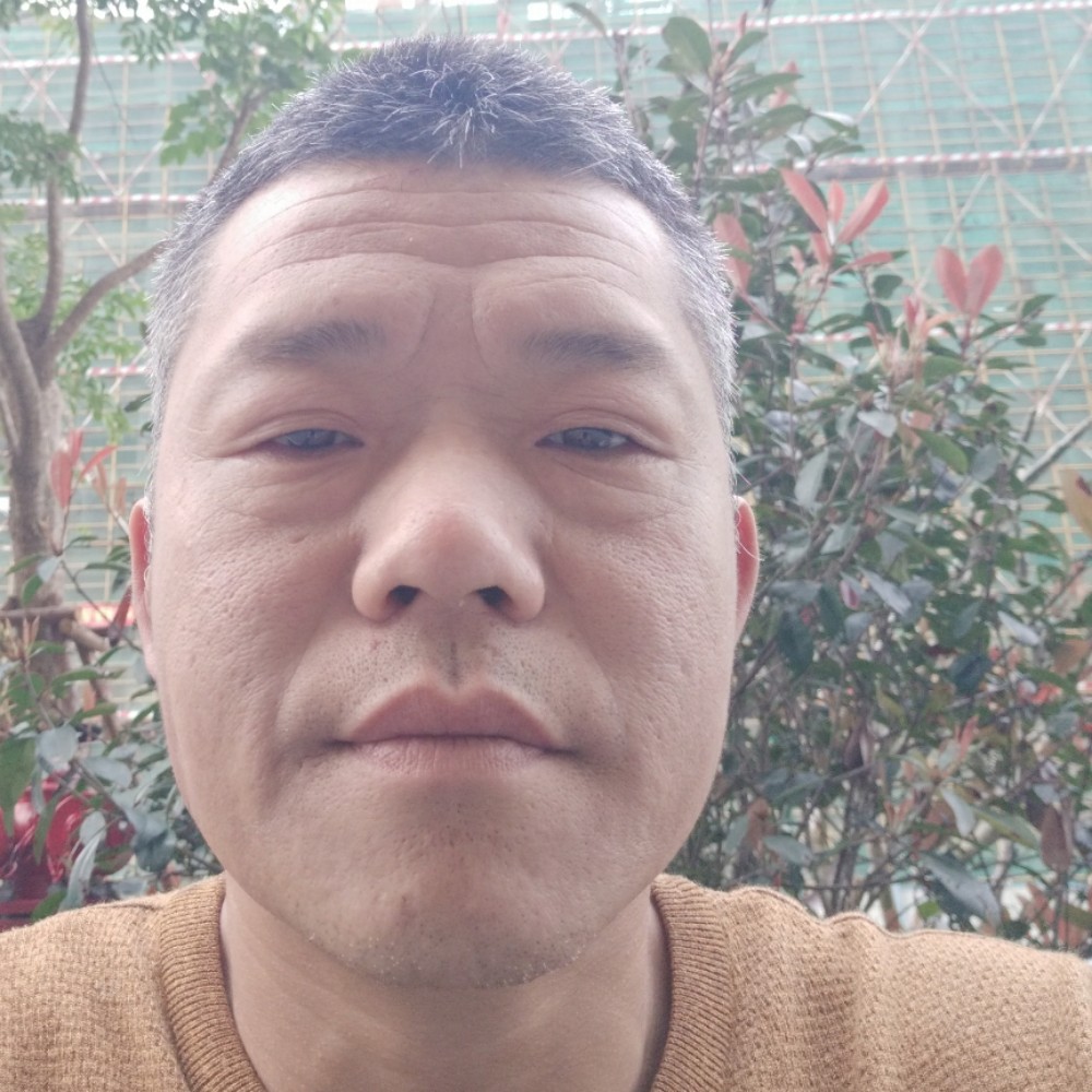 枕头迎阳光的照片