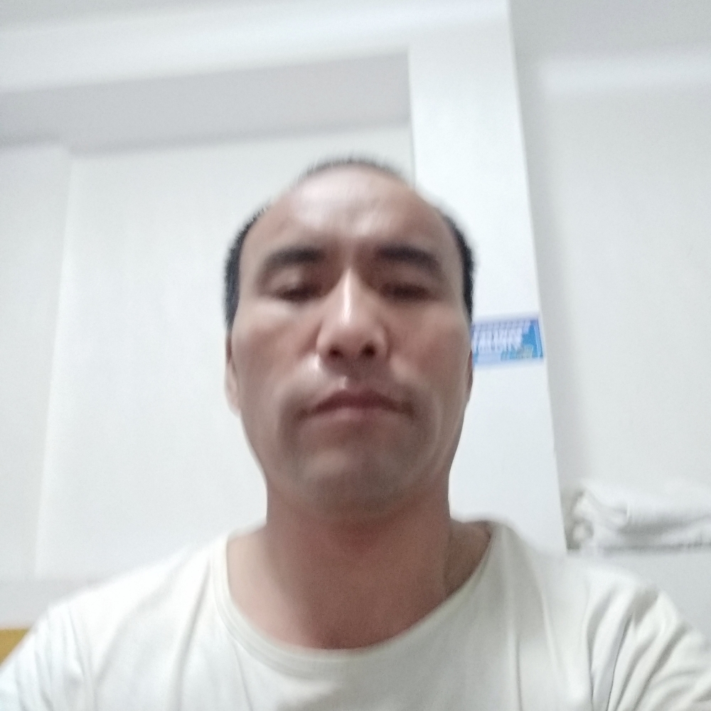 老鼠放弃酷酷的照片