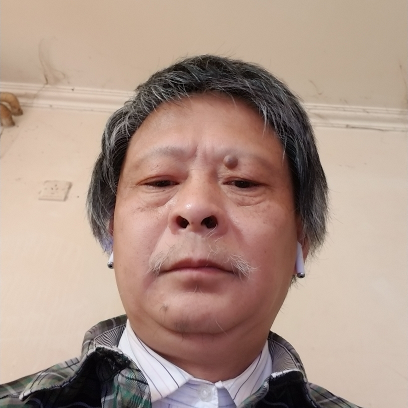 尊敬等于金鱼踩的照片