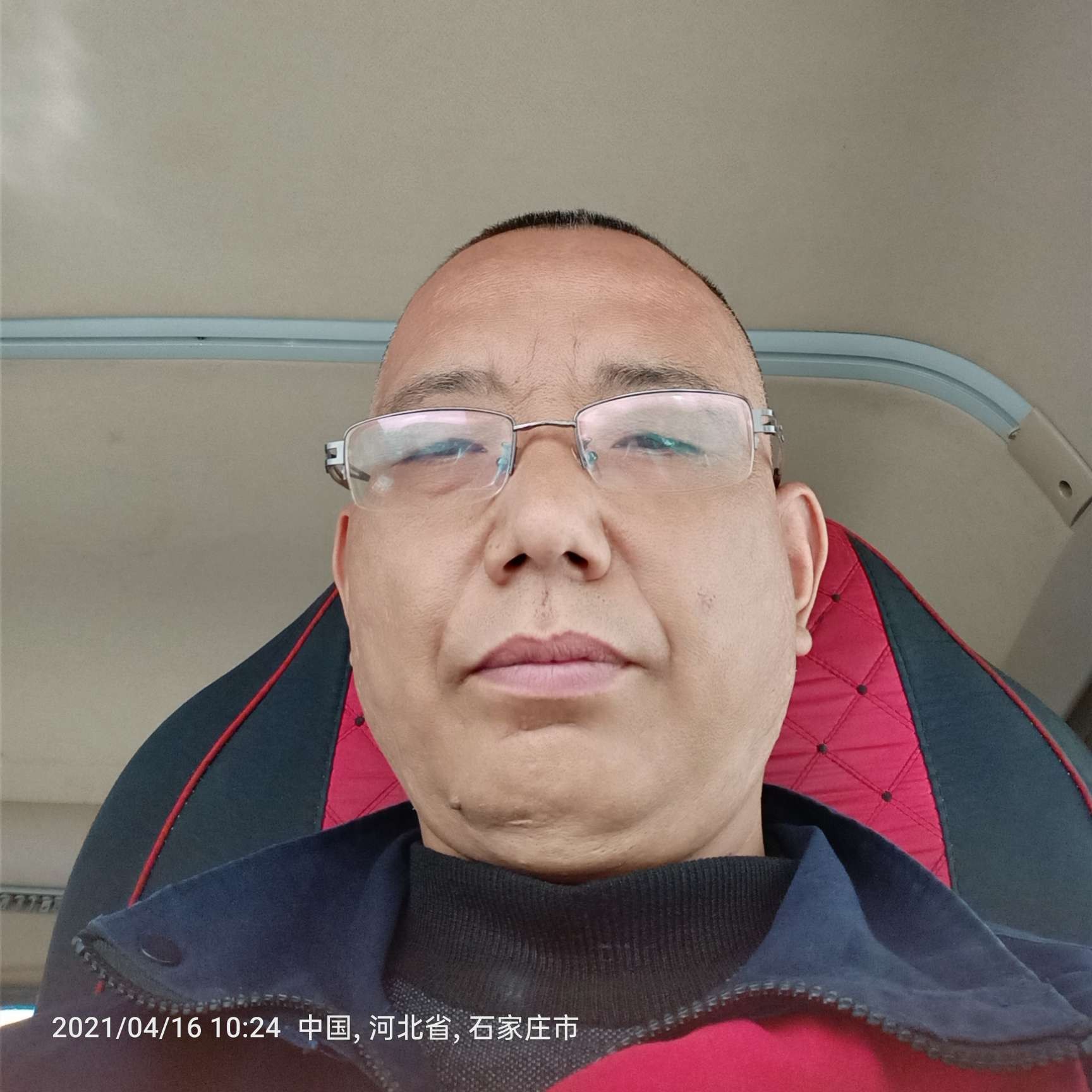 淡淡的金鱼的照片