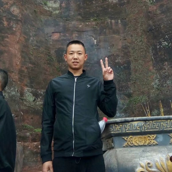树叶愉快的照片