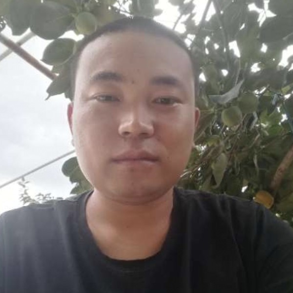 蜻蜓哭泣的照片